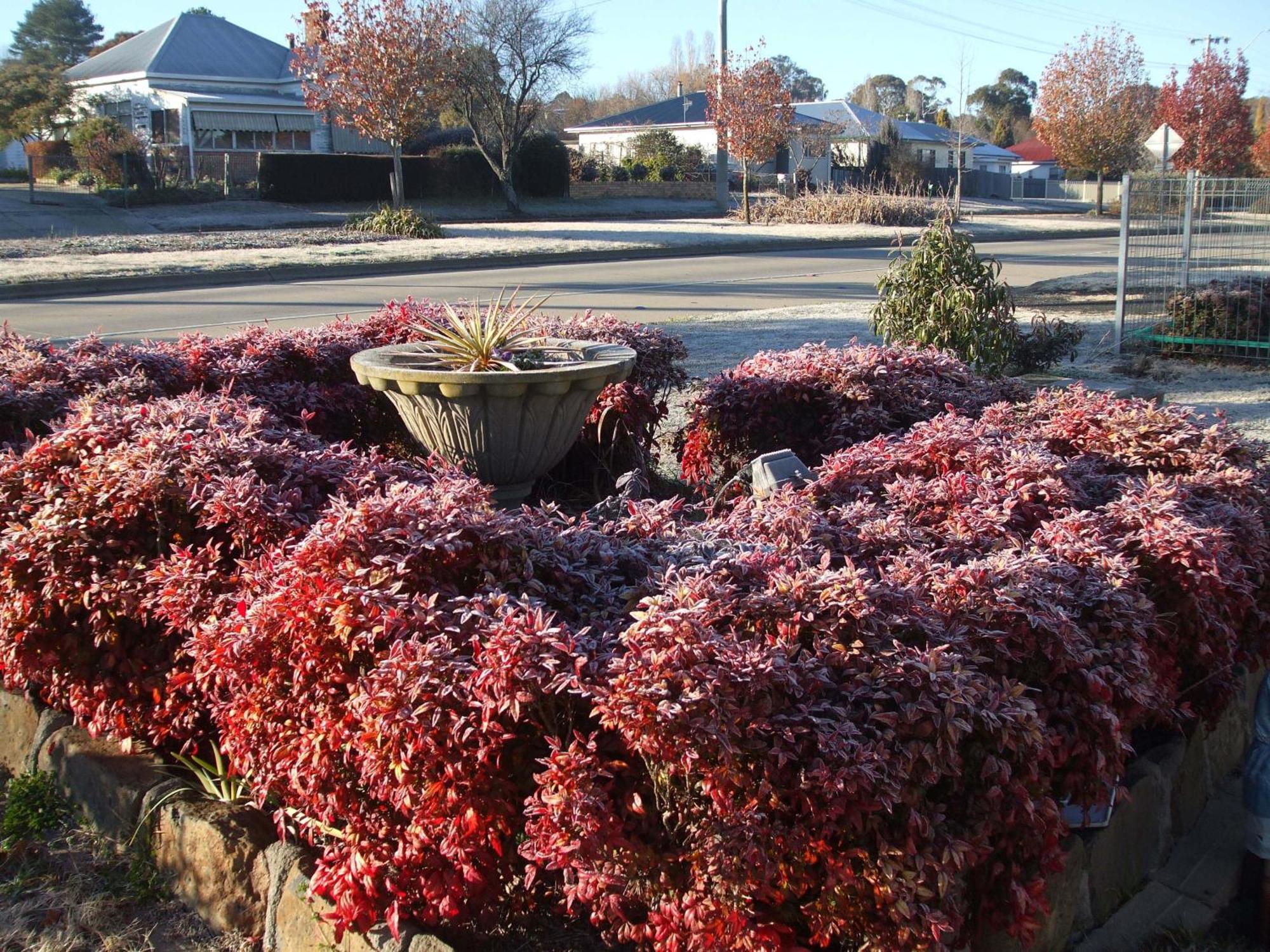 Anna Bella Motel Glen Innes Quarto foto